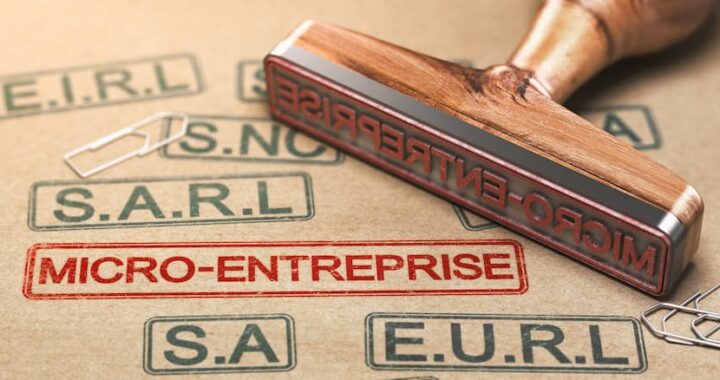 Micro entreprise a 2
