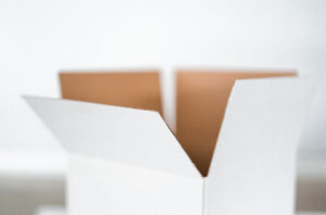 emballage carton écologique